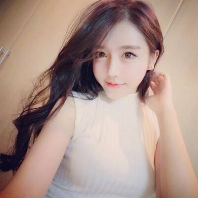 寻道回合手游3733版下载